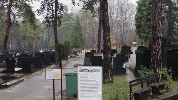 Белград Сербія Грудень 2021 Мирне Кладовище Topcider Kosutnjak Forest Rainy — стокове відео