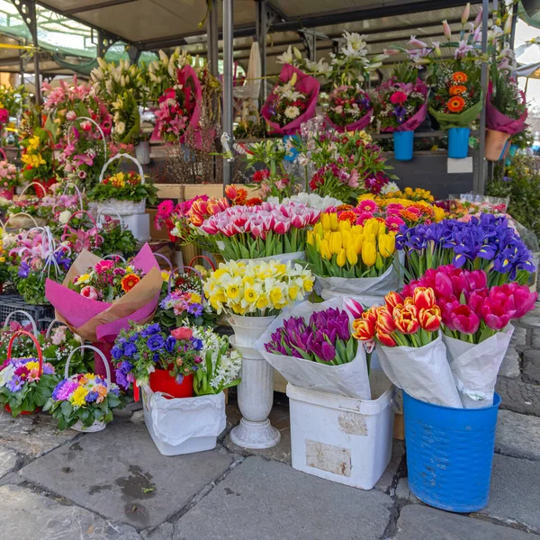 Természetes Friss Színes Virágok Termelői Piacon — Stock Fotó