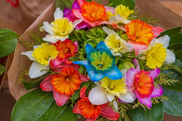 Barevné Čerstvé Květiny Kytice Vlhké Deště — Stock fotografie
