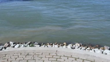 Belgrad yakınlarındaki Tuna Nehri 'nde Kirli Su Sırbistan