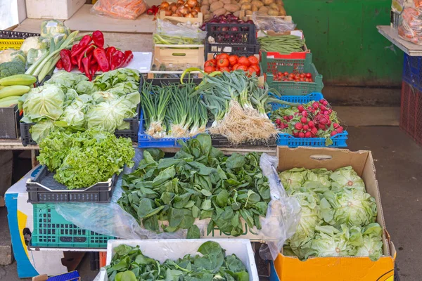 ファーマーズマーケットの屋台で緑の健康的な食品新鮮な野菜を葉 — ストック写真