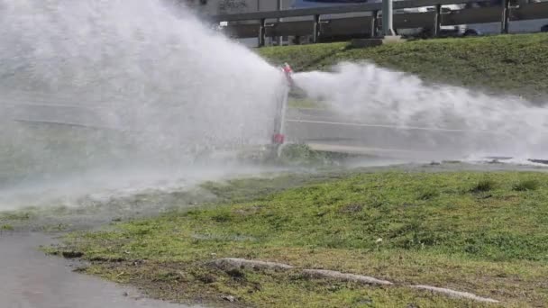 Kırık Yangın Musluğu Sokağın Park Üzerine Püskürtüyor — Stok video