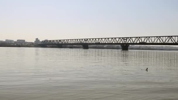 Old Steel Pancevo Bridge River Danube Belgrade Panorama — Stock Video