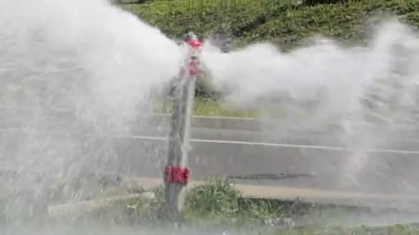 Agua Pulverización Hidrantes Rotos Park Street Alejar — Vídeos de Stock