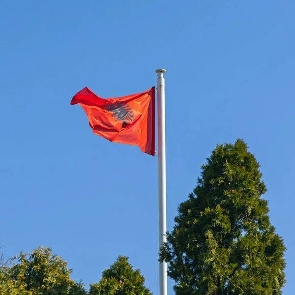 Republiken Albanien Landsflagga Solig Dag — Stockfoto