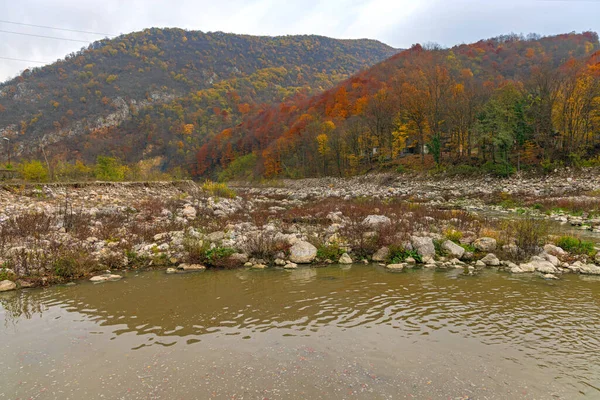 Cama Fluvial Rural Serbia Naturaleza Colores Otoño — Foto de Stock