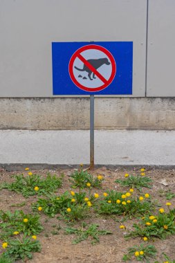 Şehir parkında Çiçeklere Köpek Kakası Yok