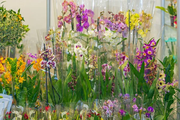 Foil Hediye Paketi Taze Doğal Renkli Çiçekler Karışımı