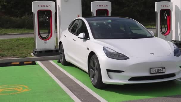 Belgrade Serbia October 2021 Fast Charging Station Tesla Cars Ikea — Stock Video