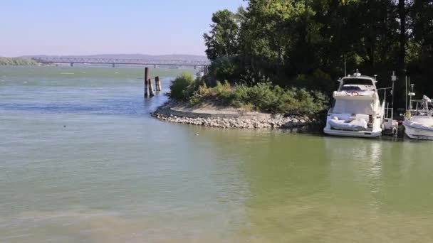 Belgrado Servië Oktober 2021 Kleine Boten Aangemeerd Bij Dorcol Marina — Stockvideo