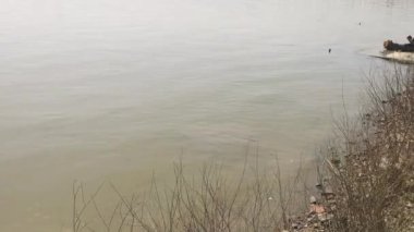 Tuna Nehri üzerindeki Yaşlı Çelik Pancevo Köprüsü Belgrad Eğiliyor