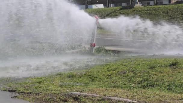 Água Pulverização Hidrante Fogo Quebrado Todo Parque Rua — Vídeo de Stock