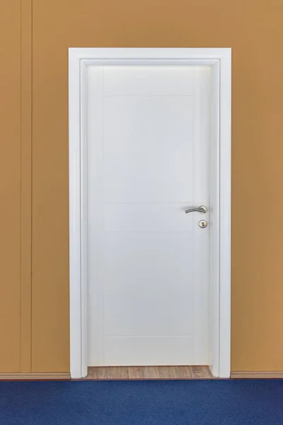 Closed Simple Plain White Door Home Interior — Stockfoto