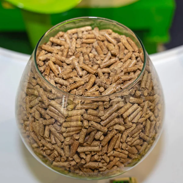 Biofuels Made Compressed Wood Pellet Fuel Glass — Stock Photo, Image