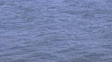 Bulutlu bir günde Tuna Nehri Mavi Su Yüzeyi