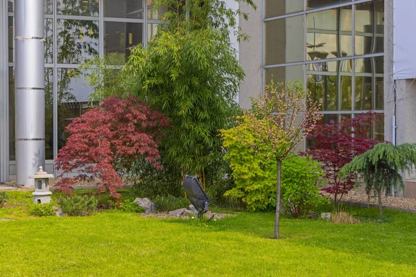 Small Green Garden Oasis Business Building Corner Landscaping — Stockfoto