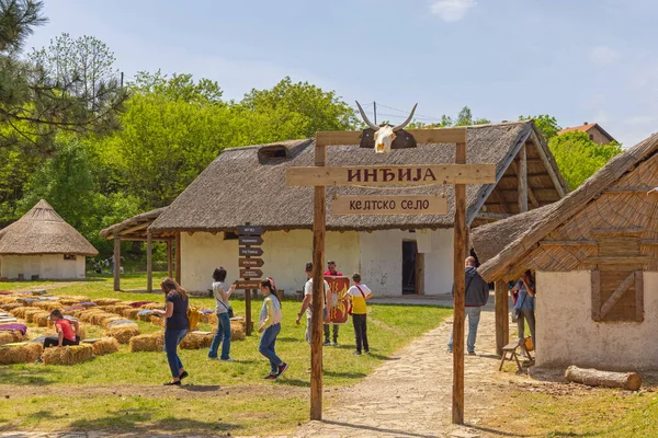 Indjija Serbia May 2022 Celtic Village Turist Attraction Historic Museum — Stock Photo, Image