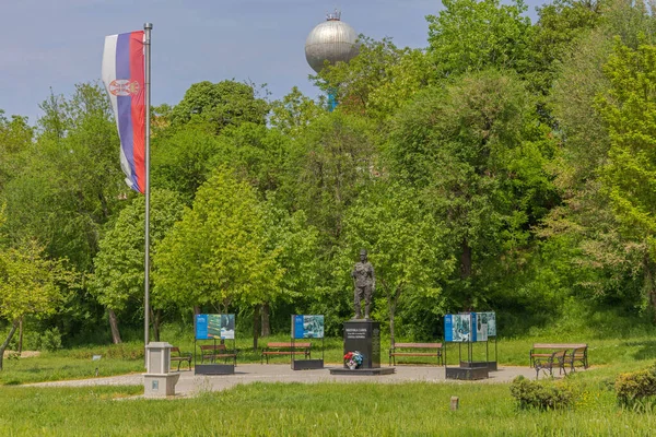 Indjija Serbia May 2022 Bronze Statue Milunka Savic War Heroine — Foto de Stock