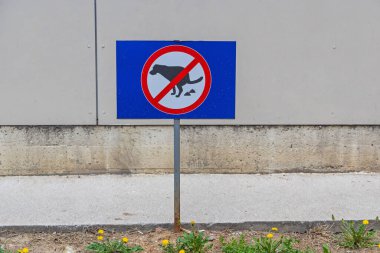 Şehir parkında köpek kakası tabelası yok.