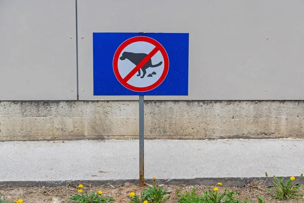 Şehir parkında köpek kakası tabelası yok.