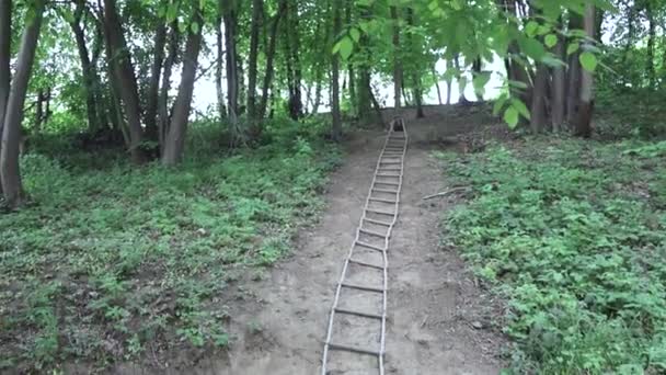 Escada Corda Longa Hill Woods Climbing Support — Vídeo de Stock