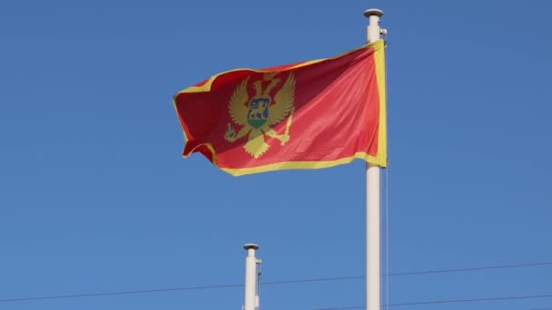 National Flag Montenegro Country Symbol Day — ストック動画