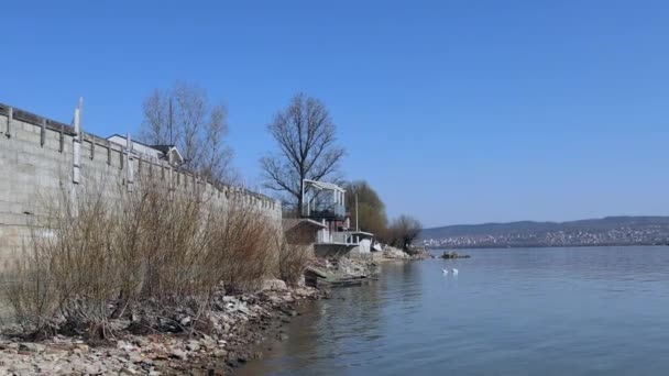 Špinavá Voda Znečištění Pobřeží Dunaje Bělehradě Srbsko — Stock video