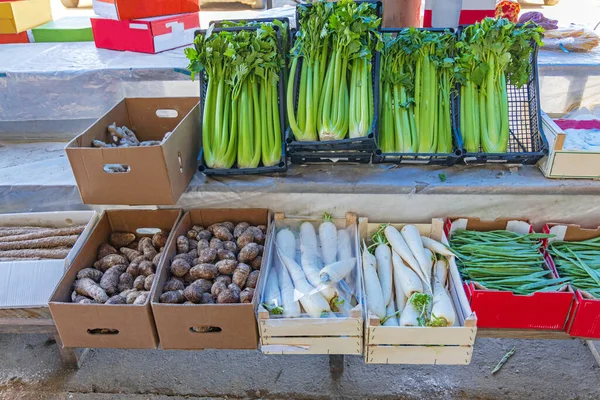 Daikon Radijs Stengels Van Groene Selderij Kratten Aziatische Groenten — Stockfoto