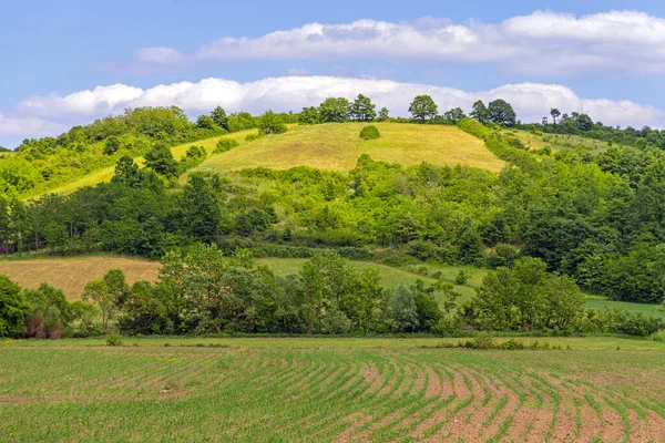 Green Hill Spring Paesaggio Nella Serbia Rurale Bella Giornata — Foto Stock