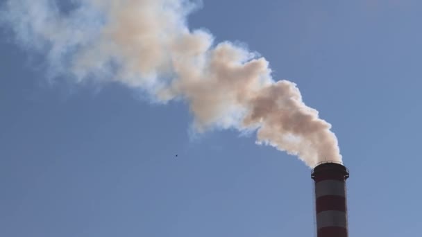 煙突の大気汚染に戻る煙の煙 地球温暖化問題 — ストック動画