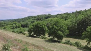 Sırbistan 'ın Yeşil Doğa Manzarası Güneşli Bahar Günü Tavasında