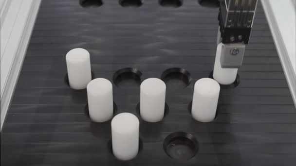 Otomatik Robot Kol Seçimi Parçaları Yerleştirme Gösterimi — Stok video