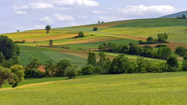 Green Hills Tavaszi Táj Vidéken Szerbia Szép Nap — Stock Fotó