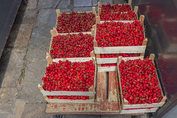 Dolci Frutti Ciliegia Rossa Nei Carrelli Crate Top View — Foto Stock