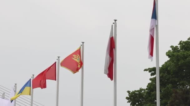 Viele Länder Der Welt Internationale Flaggen Polen Wolken Himmel — Stockvideo