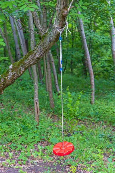 Single Rope Tree Swing Disc Woods Kids Fun — Stock Photo, Image