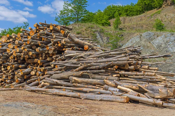 Pilha Enorme Madeira Logs Madeira Indústria Madeireira — Fotografia de Stock