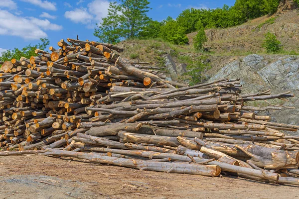 Gran Pila Troncos Madera Industria Madera Aserrada — Foto de Stock