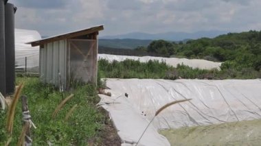 Polietilen Açık Tank Su Depolama Rezervuarı Çiftliği Sulama