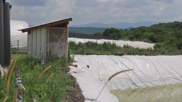 Полиэтиленовая Подкладка Открытое Резервуарное Водохранилище — стоковое видео