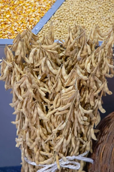 大豆束农场粮食产量一捆 — 图库照片