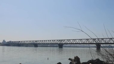Eski Çelik Pancevo Köprüsü 'nün yanında, Tuna Nehri' nin Üzerinde Kütükler Sürükleniyor
