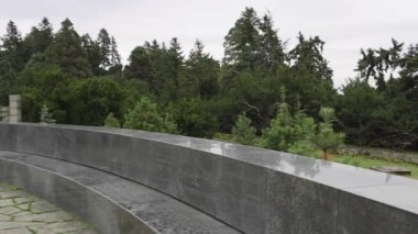 Çam Ağaçları Yeşil Park Kara Granit Avala Dağları Sonbahar Pan 'ında