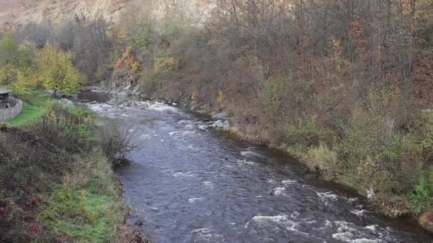 River Stream Kamenica Água Fria Oeste Sérvia Outono — Vídeo de Stock