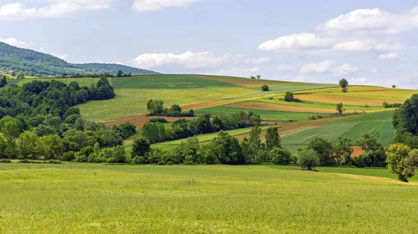 Green Hills Nature Spring Landscape Rural Serbia Nice Day — Foto Stock