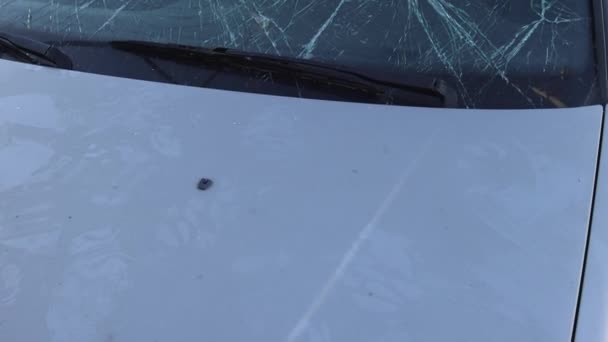 Broken Windscreen Cracked Glass Vehicle Damage Problem Tilt — Stockvideo
