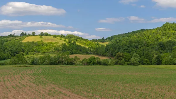 Green Hill Spring Landscape Rural West Serbia Nice Day — Foto Stock