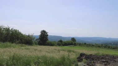 Orta Sırbistan Kırsal Alanlarında Yaz Gününde Panoramik Arazi