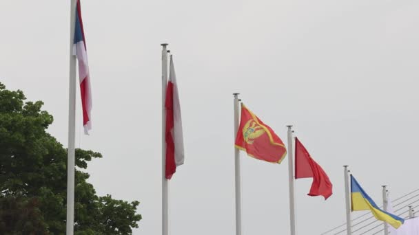 International World Countries Flags Expo Show Cloudy Weather — Video Stock