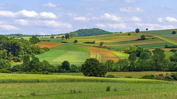 Green Hill Spring Landscape Nyugat Szerbiában Panoráma — Stock Fotó